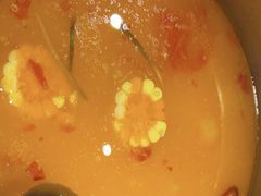 -椰子湾·海南火锅·糟粕醋·椰子鸡(正大广场店)