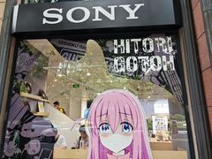 -Sony Store 索尼(上海淮海中路店)