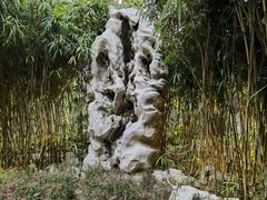 -趵突泉景区