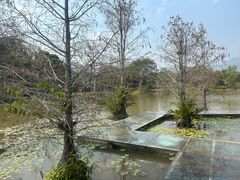 -中国科学院西双版纳热带植物园