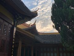 -江心屿景区