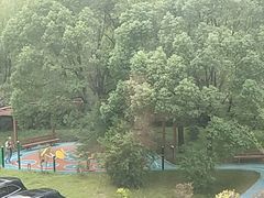 -上海爱以德护理院·康复(宝山院)