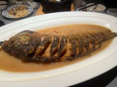 红烧黄河大鲤鱼-阿庄新豫菜(通泰路店)