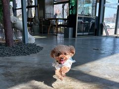 -了不起的考拉咖啡店(高新店)
