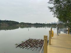 -华侨城湿地公园