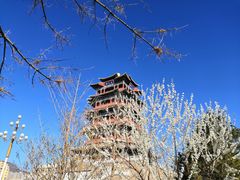 -永定河休闲森林公园