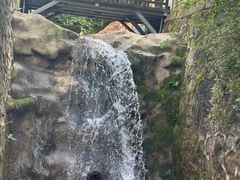 -洛阳白云山景区