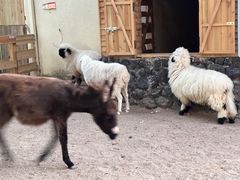 -HERRE·FARM 赫尔露营农场·团建聚会包场