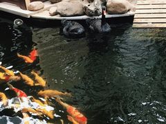 -湖鲜楼