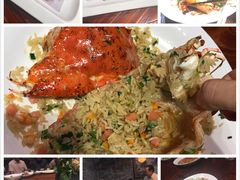 -顺德了能馆(虎门店)