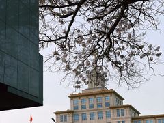 -麦当劳(军博店)