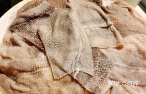 Freshly Slaughtered Water Buffalo Tripe