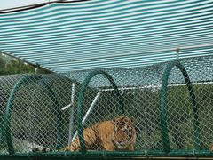 -南京金牛湖风景区