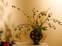 -花神·轻食简餐·咖啡馆·花卉绿植(荷兰花卉小镇店)