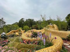 -深圳仙湖植物园