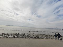 -深圳湾公园(南山区)