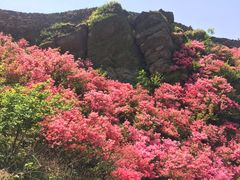 -木兰云雾山