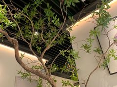 -大榕树下顺德菜(融创茂店)