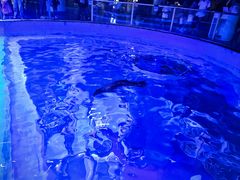 -上海海昌海洋公园-冰山北极馆