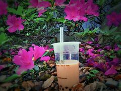 -1点点(文峰广场店)