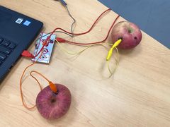 -斯坦星球AI编程·机器人科创·科学实验·信奥·思维·STEM·乐高·竞赛考级(长宁虹桥大融城荟聚中心)