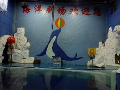 -左海海底世界