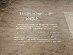 -遇见博物馆(遇见海洋沉浸式奇幻光影展)