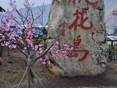 -桃花岛风景旅游区