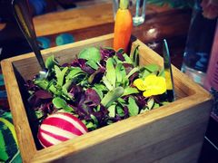 朱迪的菜园-烛影拾光观景餐厅·创意菜·摄影·小提琴(大唐不夜城店)