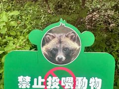 -上海佘山国家森林公园西佘山园