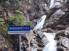 -九龙江国家森林公园