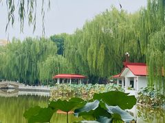 -丰台花园