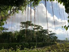 -亚龙湾国际玫瑰谷