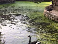 -荆州中山公园动物园