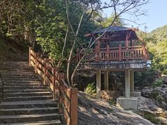 -广州白江湖森林公园