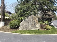 -新荣记(西溪湿地店)