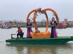 -荷兰花海