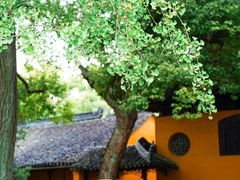 -西园戒幢律寺