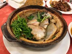 -深运潮州粥(东门店)
