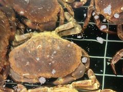 -和源祥·日照菜扛把子(万平口一店)