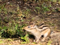 -长春市南湖公园