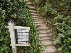 -广州市帽峰山景区