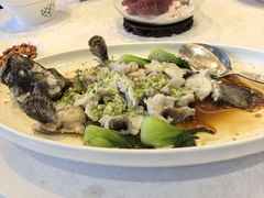 -欢乐海岸美食联盟