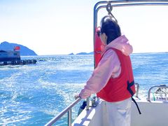 -枸杞岛