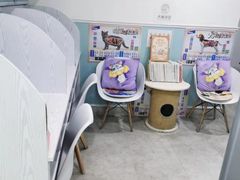 -纳吉亚猫专科动物医院·北北分院