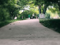 -菊花台公园