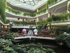 -广州白天鹅宾馆