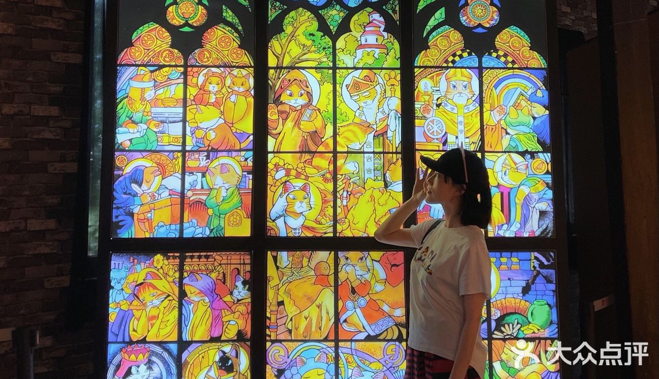 🌟魔都打卡 ｜我们一起化身猫星人🐱