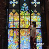 🌟魔都打卡 ｜我们一起化身猫星人🐱