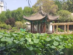 -莲湖公园